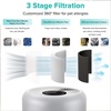 Levoit Core P350-P Air Purifier Replacement Filter,Genuine Air Filter,1Pack(Core P350-P Filter)
