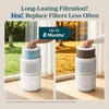 Levoit Core 300-P Air Purifier Toxin Absorber Replacement Filter, 1 Pack(Core 300-P Smoke Remover Filter)