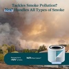 Levoit Core 300-P Air Purifier Toxin Absorber Replacement Filter, 1 Pack(Core 300-P Smoke Remover Filter)