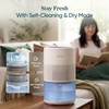 Levoit Evaporative Humidifiers for Home Whole House, 23L Superior 6000S | Up to 3000ft2, Last 72H, No White Dust, Tap Water Friendly, Auto Mode, Easy to Clean & Move, Foldable Storage, Smart Control(Blue)
