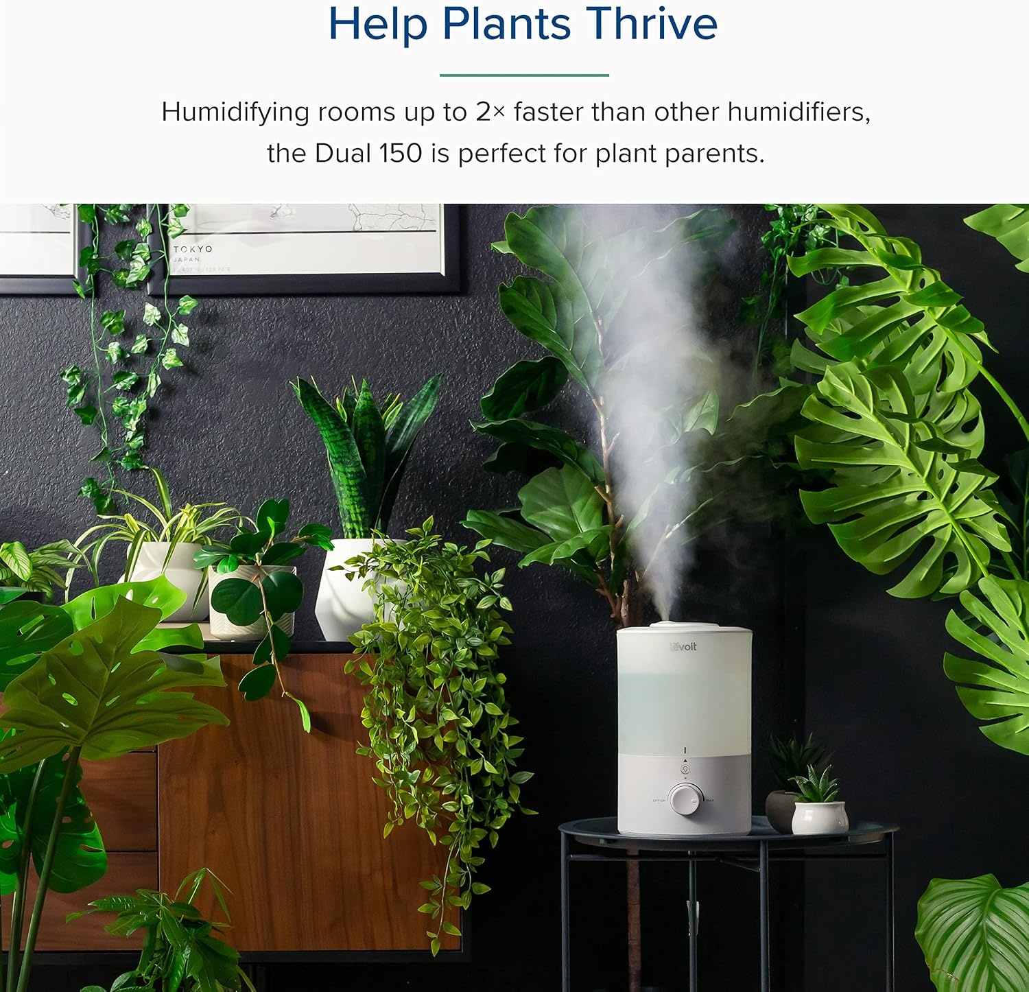 image:imageLevoit Top Fill Humidifiers for Bedroom 25L Tank for Large Room 28dB Easy to Fill amp Clean Quiet Cool Mist Air Humidifier for Home Baby Nursery amp Plants Auto Shutoff for Safety 25H Lasting30L Nightlight