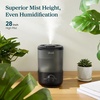 Levoit Top Fill Humidifiers for Bedroom, 2.5L Tank for Large Room, 28dB | Easy to Fill & Clean, Quiet Cool Mist Air Humidifier for Home Baby Nursery & Plants, Auto Shut-off for Safety, 25H Lasting(2.5L Black)