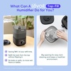 Levoit Top Fill Humidifiers for Bedroom, 2.5L Tank for Large Room, 28dB | Easy to Fill & Clean, Quiet Cool Mist Air Humidifier for Home Baby Nursery & Plants, Auto Shut-off for Safety, 25H Lasting(2.5L Black)
