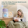 Levoit Top Fill Humidifiers for Bedroom, 2.5L Tank for Large Room, 28dB | Easy to Fill & Clean, Quiet Cool Mist Air Humidifier for Home Baby Nursery & Plants, Auto Shut-off for Safety, 25H Lasting(3.8L Smart_White)