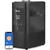 Smart Warm And Cool Mist